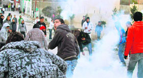 Anti-Israel sentiment in Palestine is reflected in frequent protests by Palestinians .