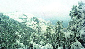 The Churdhar peak in Sirmour that received snow on Tuesday.