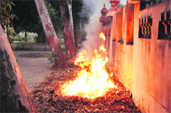 Garbage and dry leaves being burnt on the premises of Maharaja Ranjit Singh Panorama, Ram Bagh Garden, in Amritsar. Photo: Vishal Kumar