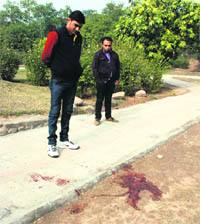 The spot where the gunman received a gunshot in Sector 5, Panchkula, on Tuesday night. 