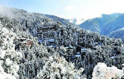 A view of snow on the Dalhousie hills on Wednesday. 
