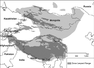 A snow leopard range shown in the map. Photo courtesy: Snow Leopard Trust