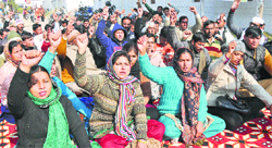 Guest teachers stage a dharna outside the residence of MP Arvind Sharma in support of their demands in Karnal on Thursday. 