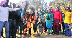 Computer teachers burn an effigy of UT Adviser KK Sharma at Sector 20 in Chandigarh on Friday. Tribune photo: S Chandan