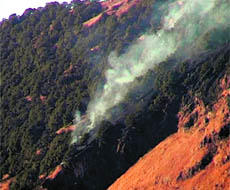 Forest Department officials begin an exercise to control fires at the Mussoorie Wildlife Sanctuary on Benog hill. 
