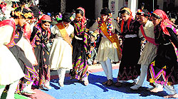 Students perform a traditional folk dance during a function in Mandi on Friday