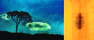Photograph by Bhupinder Brar for Annual Art Exhibition and (R) one of Sohan Qadris work