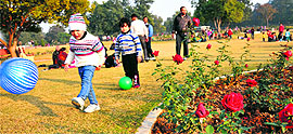 Children have a field day at Rose Garden on Sunday