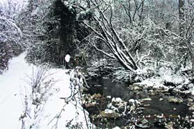 A stream flows through accumulated snow in the Dachigam national park on the outskirts of Srinagar