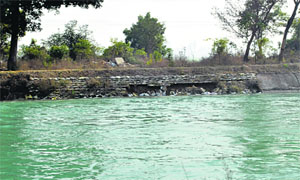 Breaches in the embankment along the Bhakra Main Line Canal near Thablan village resurface as water in the cavities erodes soil.
