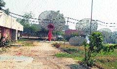 The Doordarshan centre in Abohar is a picture of neglect as it is surrounded by shrubs and garbage. Tribune Photo