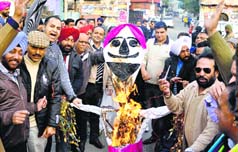 Congress workers burn an effigy of Bikram Majithia in Jalandhar on Tuesday. A Tribune photograph
