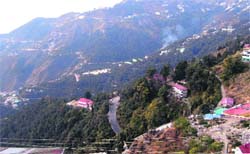 The private and the government estates surrounded by a vast expanse of forest in Mussoorie. A Tribune Photograph