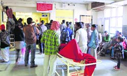 People stand in a long queue at the IGMC in Shimla. Photo: Amit Kanwar