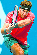Juan Martin del Potro downed Radek Stepanek 6-4, 3-6, 6-3 to make place in the semifinals of Sydney International