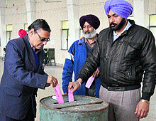 PAU staff cast their vote on the university campus in Ludhiana on Friday