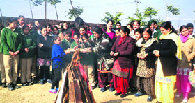 DDIS Fatehgarh Churian school staff and students celebrate Lohri in Amritsar on Saturday.