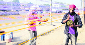 Makers of kite strings are doing roaring business ahead of Lohri.
