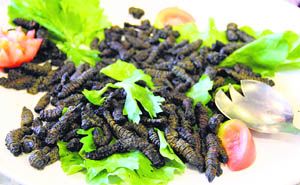 A local delicacy is crunchy mopane worms (the caterpillars of emperor moth) Photos by the writer