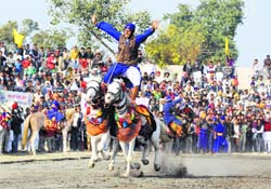 A Nihang shows his horse-riding skills on the last day of National Livestock Championship in Muktsar on Sunday. A Tribune photograph