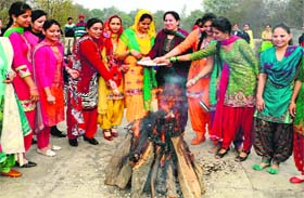 GNDU staff and students  celebrate Lohri in Amritsar on Monday