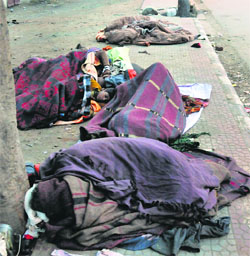 Homeless people sleep on the road in front of Nirmal Kutia in Karnal on Monday.
