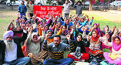 Mid-day meal workers protest outside the DEO office in Amritsar on Tuesday