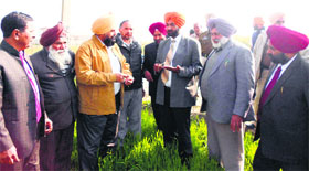 Kahan Singh Pannu, Secretary, Agriculture (3rd from right), inspects wheat crop in Sadowal village near Garshani on Tuesday.
