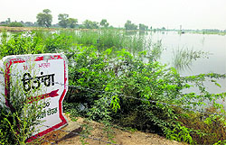 The region around Muktsar experienced unprecedented high rainfall in June and August last year, damaging crops