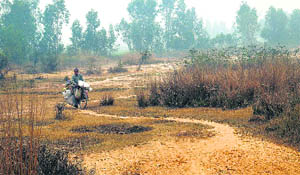 The vacant land near the Rajpura highway which was acquired by the state government to set up an industrial estate.