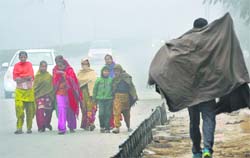 Women and children brave the chill on a cold foggy day in Karnal on Thursday. Tribune Photo: Ravi Kumar