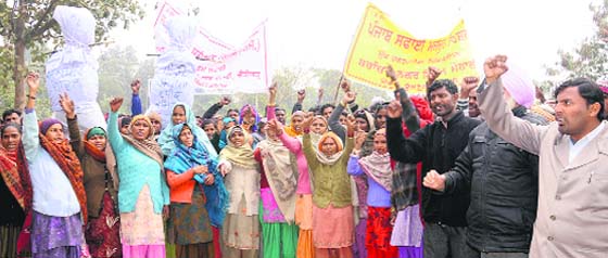 Safai sewaks stage a protest at Phase X, Mohali, on Friday. Tribune photo: Vicky Gharu