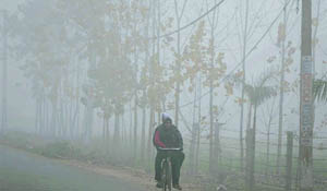 A thick blanket of fog engulfs Ludhiana on Friday morning.