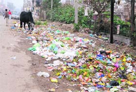 A garbage dump at Majitha Road in Amritsar on Saturday