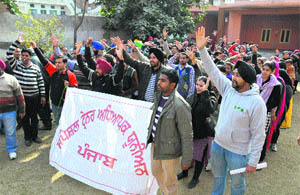 Special trainer teachers hold a protest against the Punjab government in Bathinda on Saturday. 