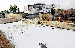 The outlet of the sewerage treatment plant from where 125 MLD of recycled water is being discharged into Jamsher drain without any usage at Pholriwal village near Jalandhar