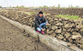 An employee at the Sewage Treatment Plant shows heaps of sludge manure accumulated at the site in the absence of any taker in Pholriwal village near Jalandhar