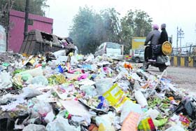State of affairs: Garbage lying scattered at Alaska Chowk as safai karamcharis are on strike in Jalandhar