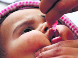 A child being administered polio drops at SMGS Hospital in Jammu on Sunday.
