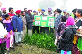 Showing the way: Agriculture scientists educate farmers on yellow rust in Moga village on Sunday