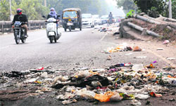 Garbage littered on a road at Phase X in Mohali on Monday. Tribune photo: Vicky Gharu