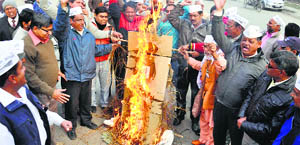 Aam Aadmi Party activists burn an effigy of  Union Home Minister Sushil Kumar Shinde in Karnal on Monday.