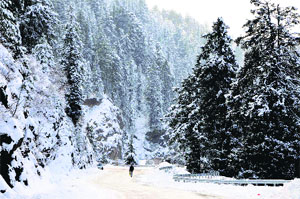 A man walks on a snow-covered road at Kufri near Shimla on Monday.