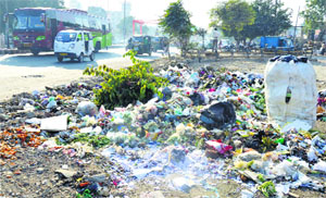 A roadside garbage dump. Heaps of garbage can be seen at many places in the city