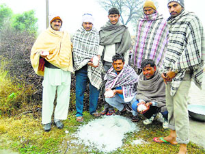 Farmers show hails in the Jakholi area of Kaithal on Tuesday.