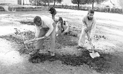 Workers busy with grassing on the Chowgan of Chamba