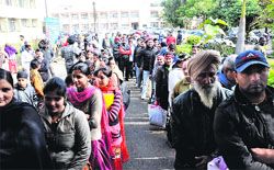 Applicants wait in queues at Suwidha Centre in Jalandhar on Thursday. A Tribune Photograph