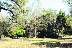 An abandoned mini-zoo premises of the Company Bagh in Amritsar.