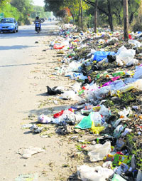 Garbage dumped alongside a road in Phase X in Mohali.