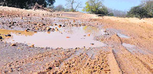 A damaged stretch of the safari track in the Chila range of the Rajaji National Park, Pauri Garhwal.